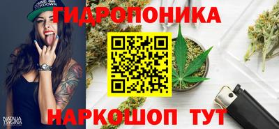 молекула духа Кулебаки