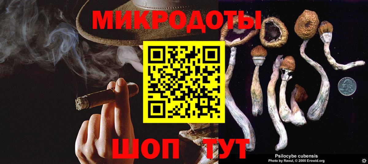 Псилоцибиновые грибы Psilocybine cubensis  Галлюциногенные грибы MAGIC MUSHROOMS  Вход с VPN  Добрянка 