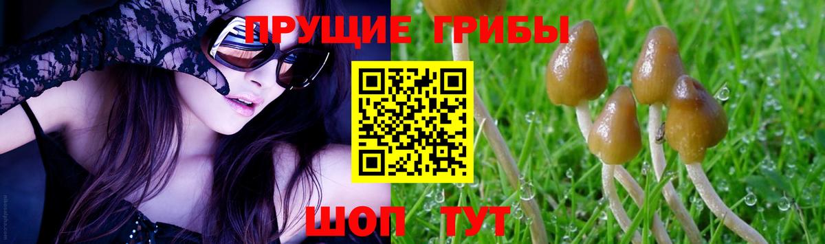Галлюциногенные грибы мухоморы Добрянка